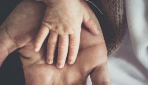 撫養(yǎng)費如果不給會有什么后果