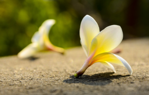 婚內(nèi)出軌離婚怎么分割財(cái)產(chǎn)？