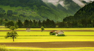 農村房屋轉讓怎樣才算合法