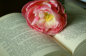 侵犯著作權(quán)的行為有哪些？什么情況下屬于著作權(quán)合...