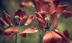 想離婚，男方扣押結(jié)婚證可以離嗎？