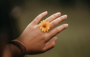 結(jié)婚證男方不給怎么起訴離婚