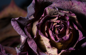 夫妻倆離婚債務怎么承擔