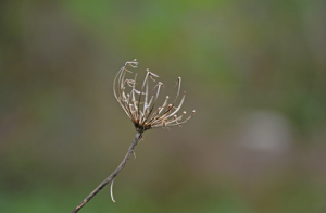 簽了離婚保證書反悔，能否作為證據(jù)起訴？