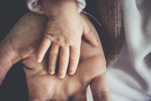 孩子爺爺奶奶可以爭撫養(yǎng)權嗎