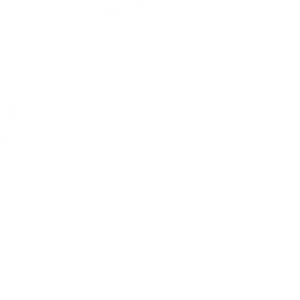 涉外糾紛業(yè)務(wù)