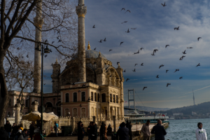 如果發(fā)現(xiàn)旅游公司欺詐，應(yīng)該如何維權(quán)？